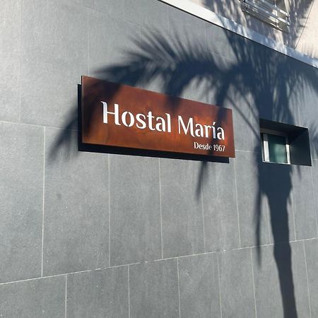 Hostal Maria Elche Dış mekan fotoğraf